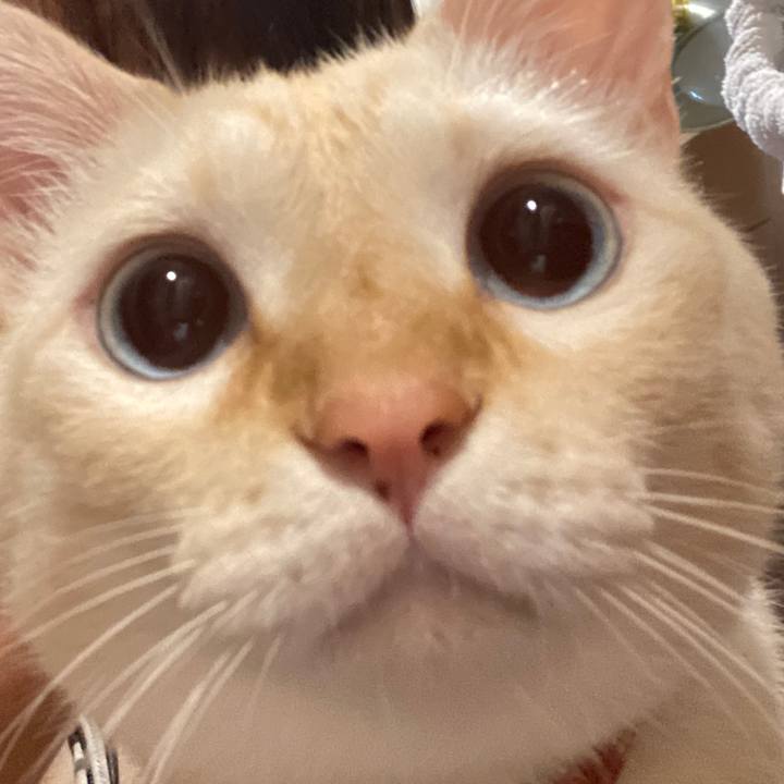 08e532a7 4826 4980 afa8 6db998bf9bbc 1697282144436