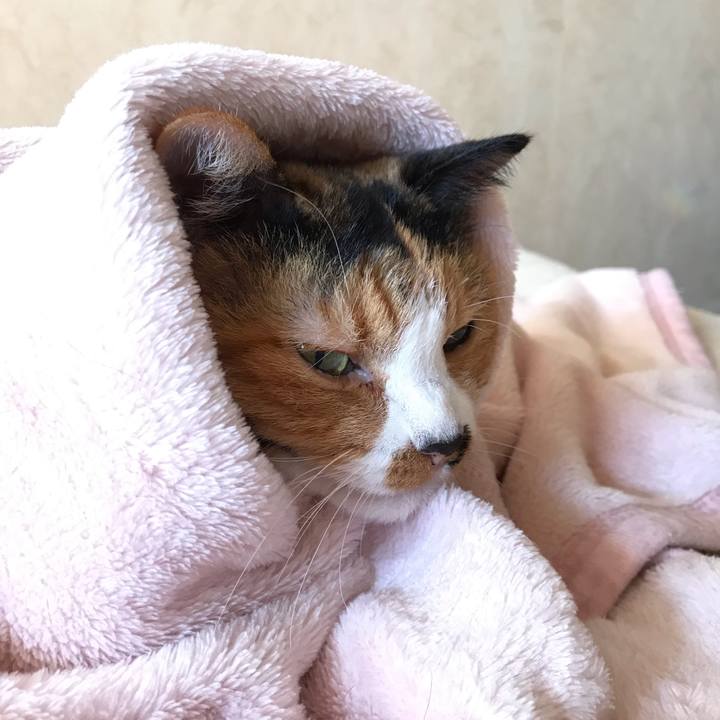 08e55bf8 eb9e 400a bcc0 d77af0f4c9c0 1568943594513