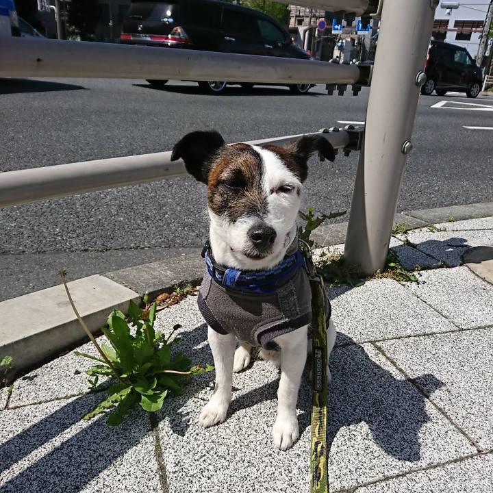 08e5b032 6085 4540 94d7 9e751906b89b 1523150807303