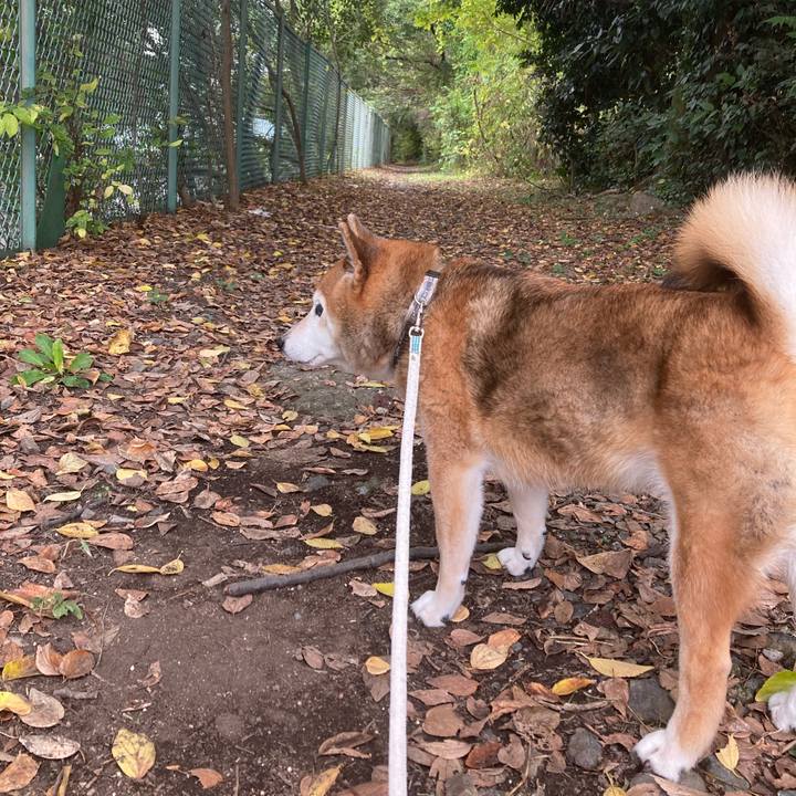 08e5c629 5c52 4827 b5c8 dcf6a0937791 1730163658378