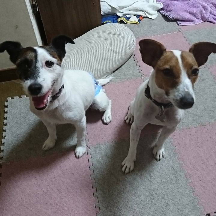 08e5c649 154a 4487 93ef 14a9e88ad39e 1532957800887