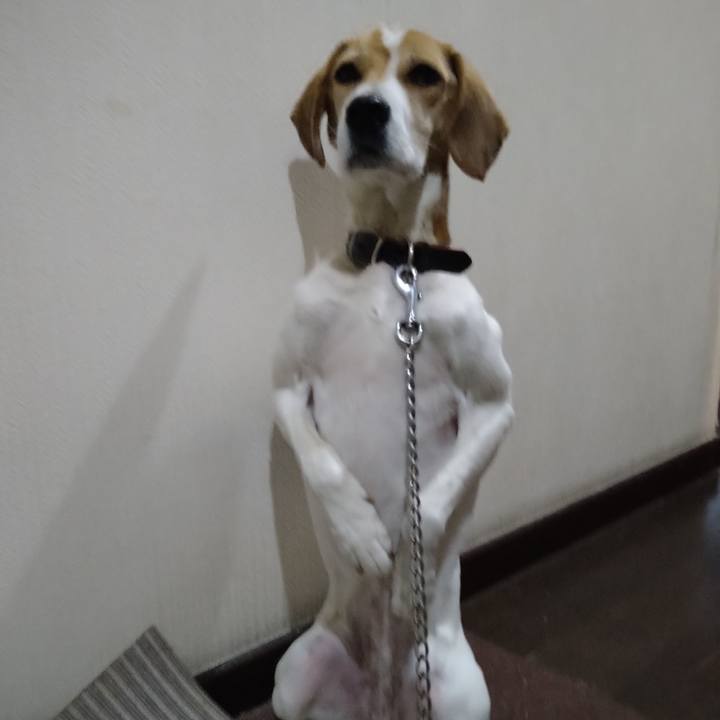 08e5ee29 55e0 454b b835 4d0fc499720e 1640779592263