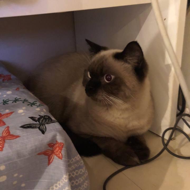 08e610f6 6ac2 41db a85a dfc9cead04bc 1601291529470