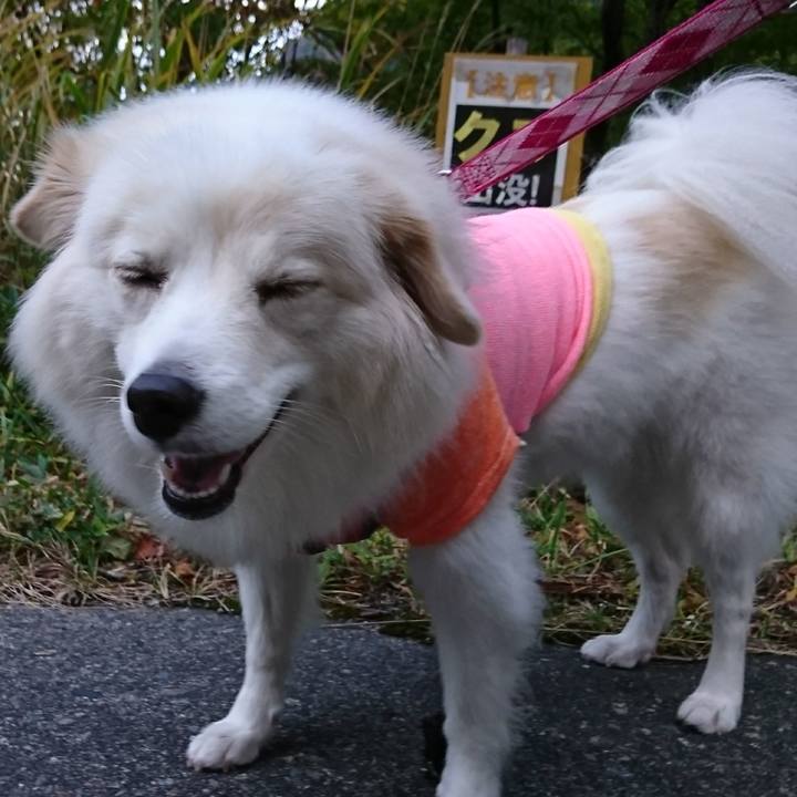 08e62d1f eace 45fc bc54 5bc0da560ae5 1509141463037