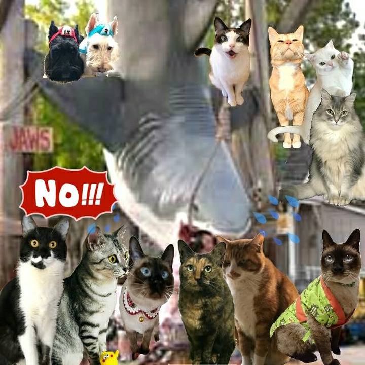 08e6570b 0db6 465e 9207 607a028a6438 1529213554333