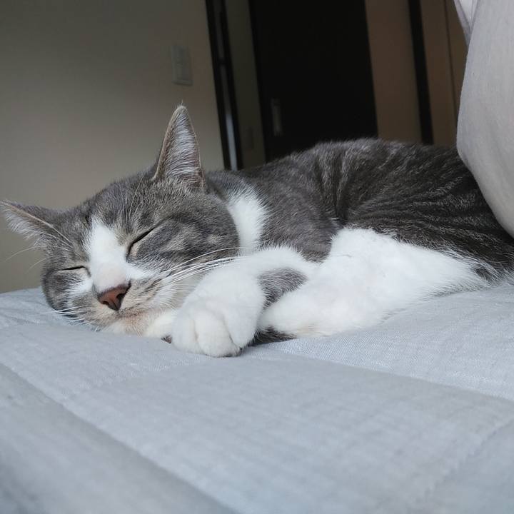 08e697c8 fbe0 412c a10e f33846c8a323 1586048474814