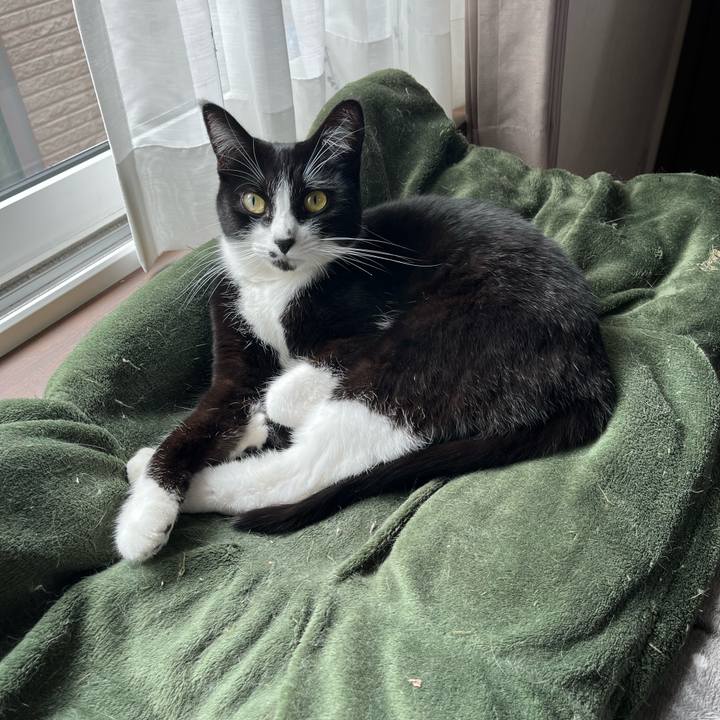 08e6a721 e442 4a16 8888 0f2b1d7dacbb 1708310510649