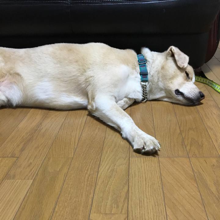 08e6d134 aac9 446d b556 2532e10f7540 1535106701603