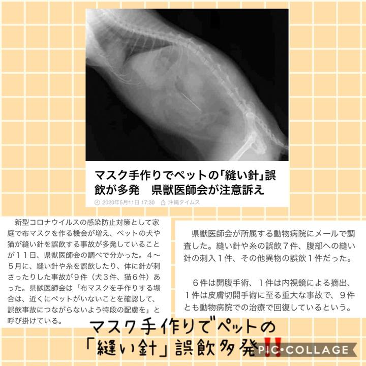 08e70533 8002 45e3 8b72 547ec17d7dba 1589261933804