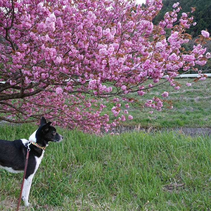 08e716e0 27b3 4d61 bd51 ed92fc5dc70f 1618832925961