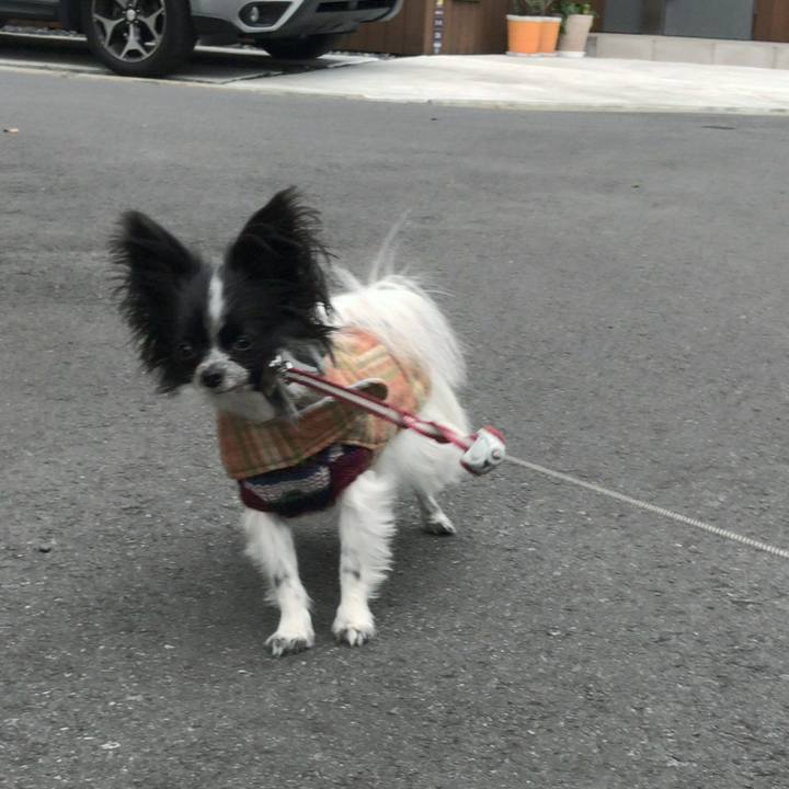 08e7a724 39aa 4bdb bab0 a3473fa18f9c 1510965063041