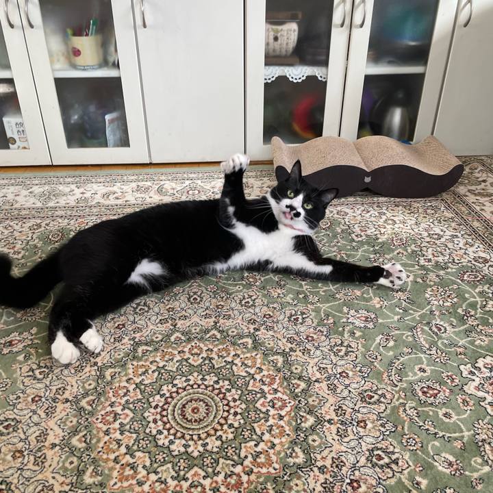 08e7c8be 0572 4539 98e7 1f248153a499 1750039554286