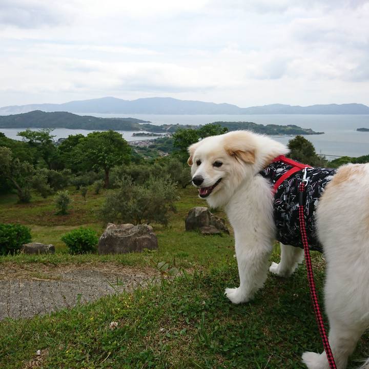 08e7e2b3 b54f 4962 9efd edda3aee8c19 1525315821514