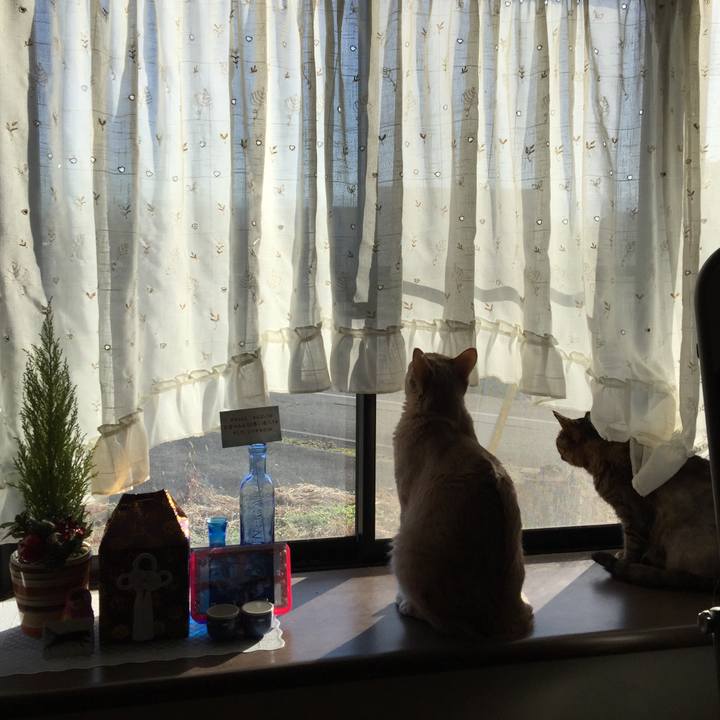 08e7ef88 143b 4a19 84a2 1ce51a9d4312 1543716364305