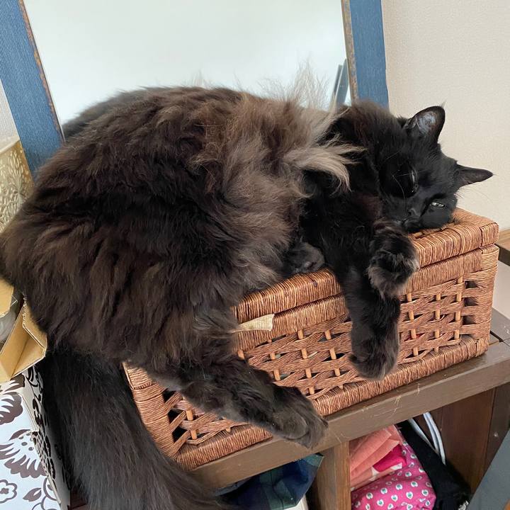 08e83fc2 aadd 45d6 9097 8eeaa91b8622 1622376317024