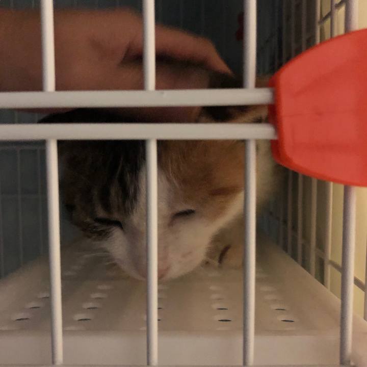 08e845aa 3802 403a 8bb7 17807ac4bbf1 1571319970509