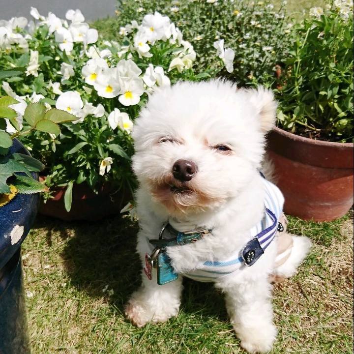 08e85ed6 dbb4 4fc9 b8ec 6a9fea90307f 1526016852379