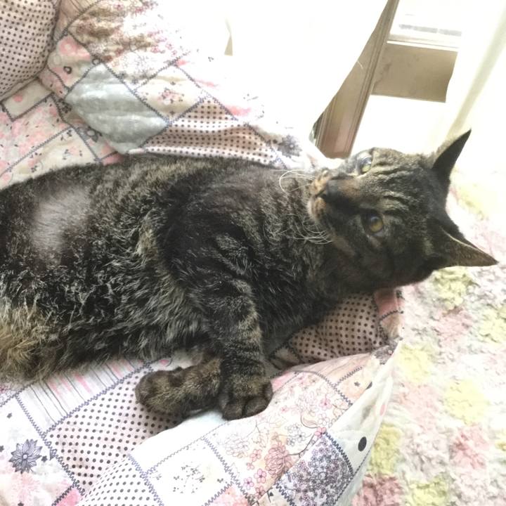 08e87867 4b06 4c8e 8b4b f458c365903f 1624069155785