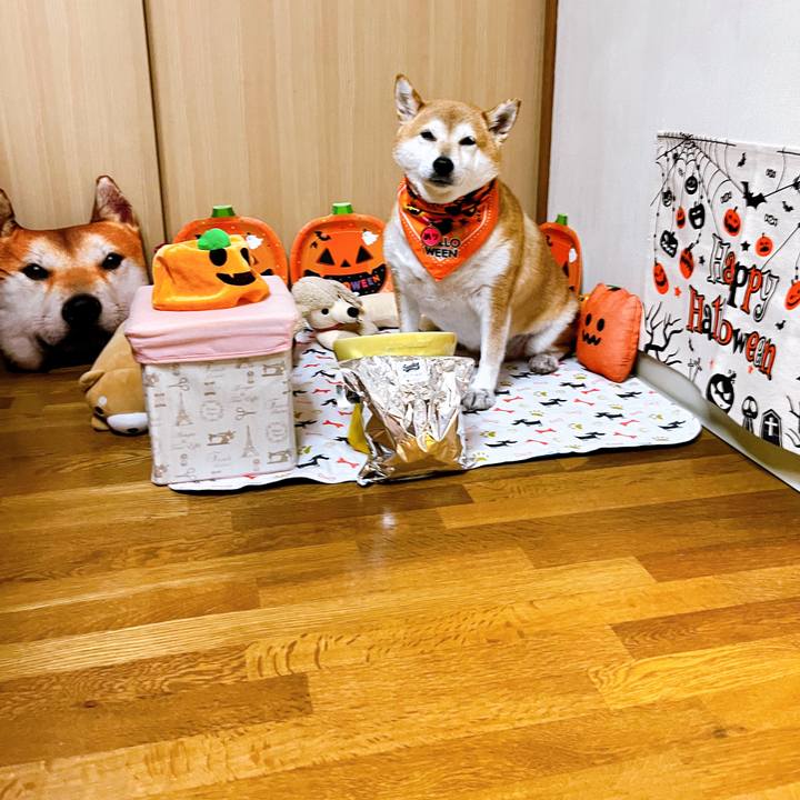 08e87f07 e19b 41aa ac9f f3cca2928ca3 1665371230814