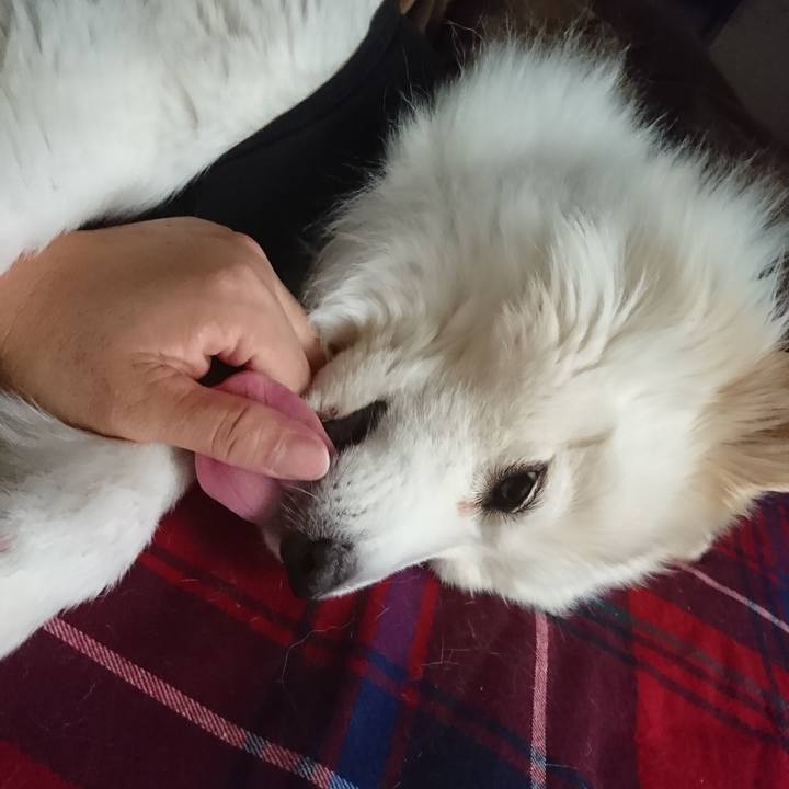 08e8a5a7 c023 4fee acac 034f94991a7b 1527631537172