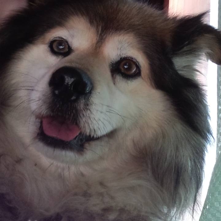 08e8b482 e245 40f3 a4db 537af0896b9a 1614286549346