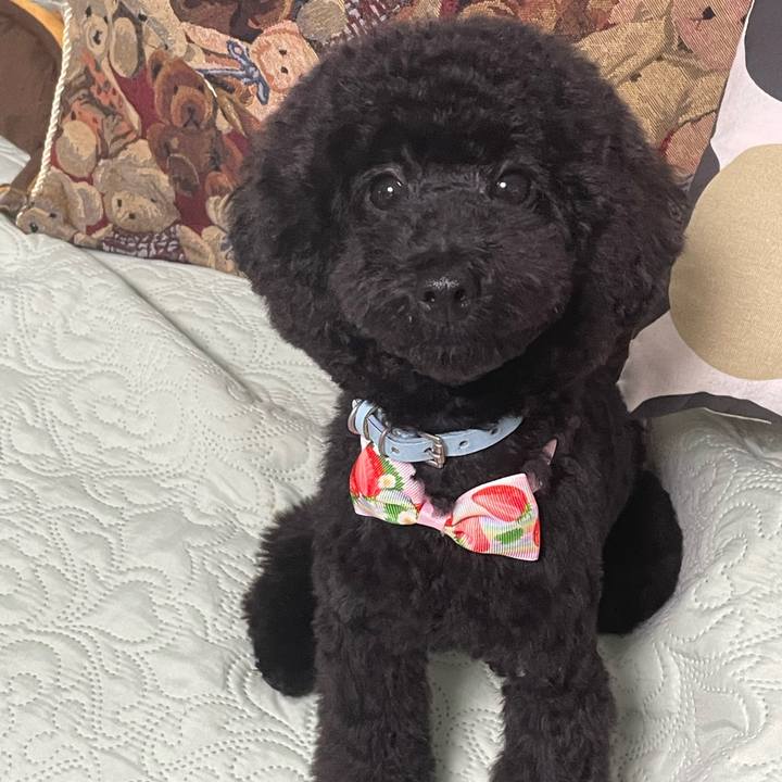 08e8b9d1 1fc8 41f9 9dbb 90a41bc23c0e 1689413959362