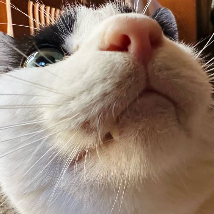 08e8eb7f b6d6 491f a526 3cf930fed24a 1727145165508