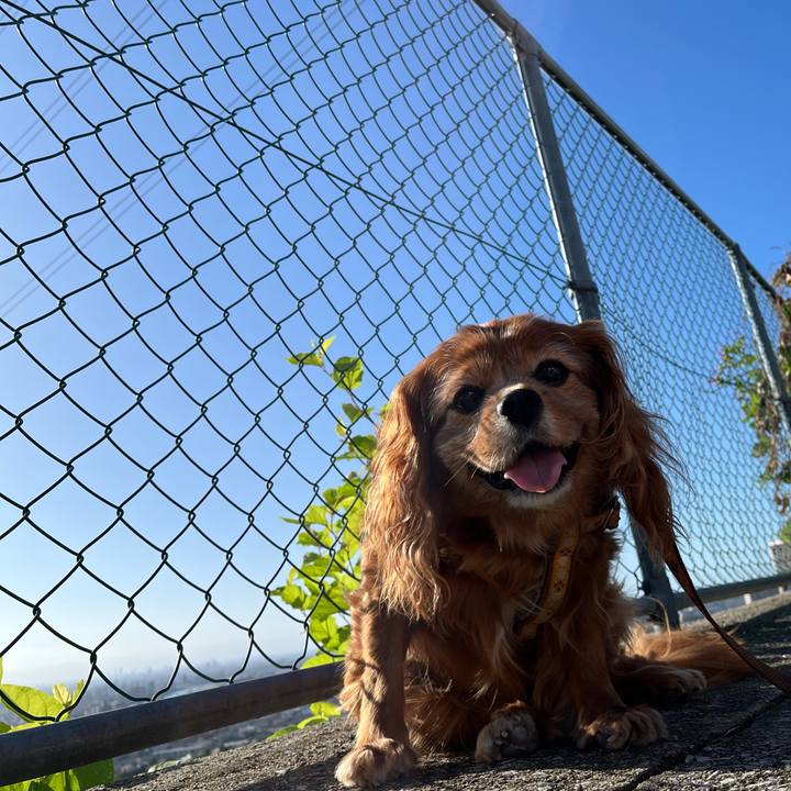 08e8f52f 8438 4827 a994 e0188b1916c6 1759965638587