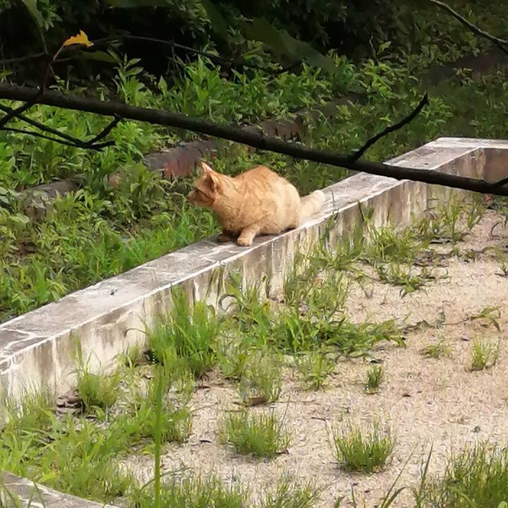 08e91510 70d2 484e a941 859a2bb5d4aa 1626123482084