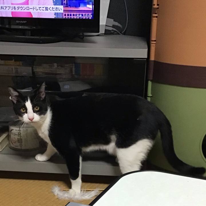 08e94467 07cd 41a9 8aa1 45385a80448b 1638753799944