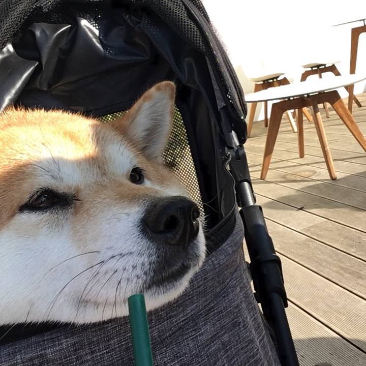 08e95b66 f80c 4f6d a205 80d925025aef 1576317375737