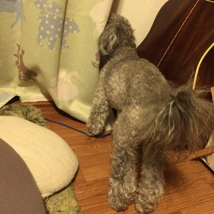 08e96780 4f77 4d60 addb bf0f8f36fb97 1772496661709