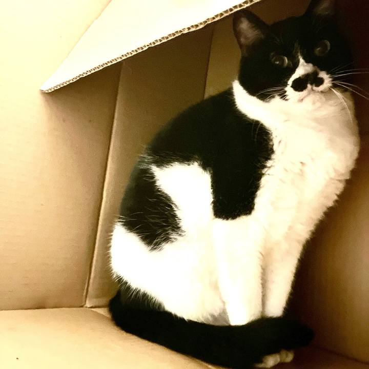 08e973e7 96be 4901 95b2 cbb84145c26a 1709807493809