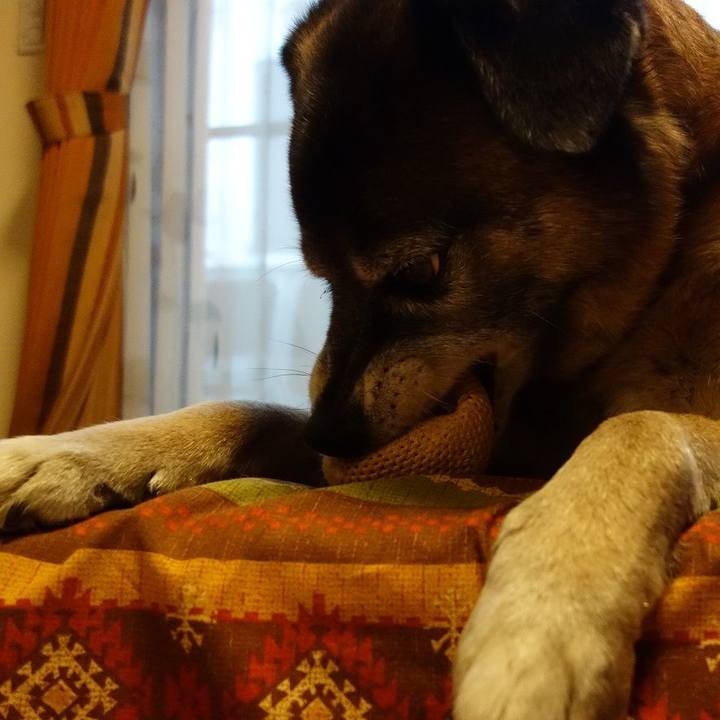 08e982a0 4cff 46c1 a958 a12b8cfe1681 1523788134664