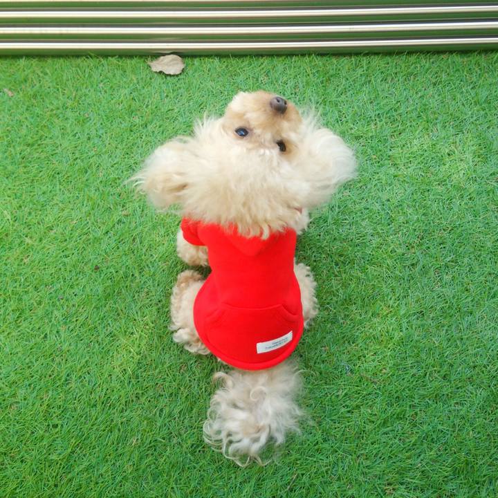 08e99b98 66d1 4f3d abf2 d6309960d9a3 1542451977797