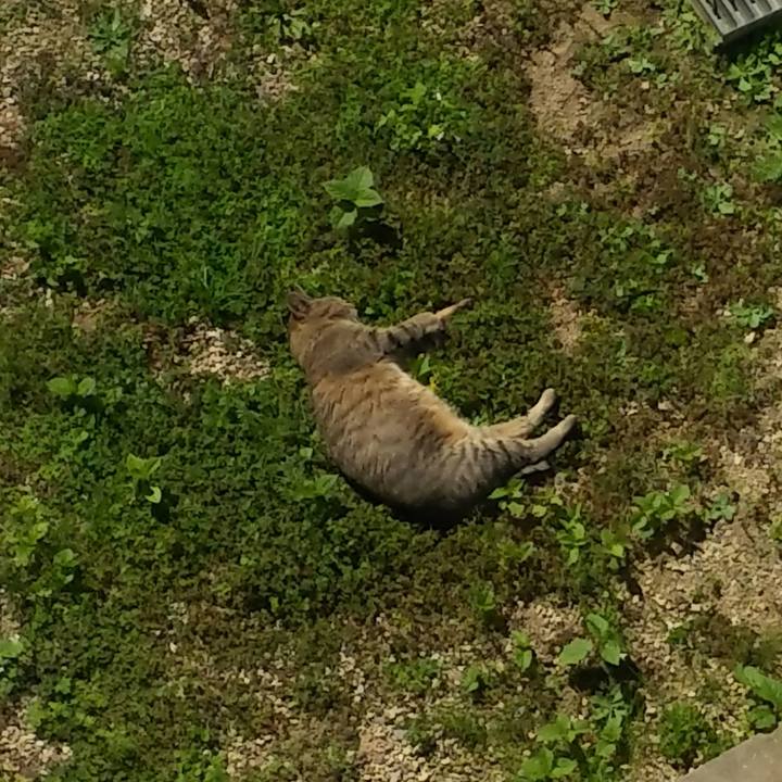 08e9d51e 2640 49d6 9d2e 3d1c2688ae9d 1557275777512