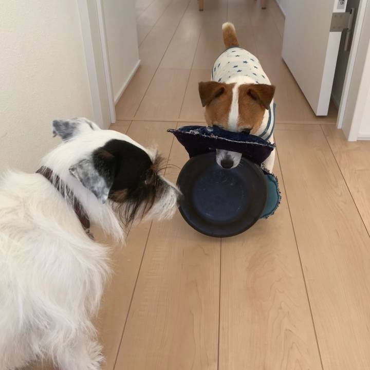 08e9feb8 32b9 49d1 ac24 bb71205d01ce 1633915180761