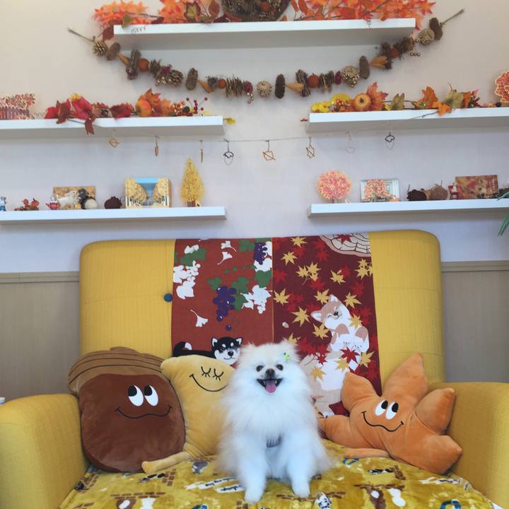 08ea0826 9b82 42e8 8ea4 9f7951068b43 1606099643759