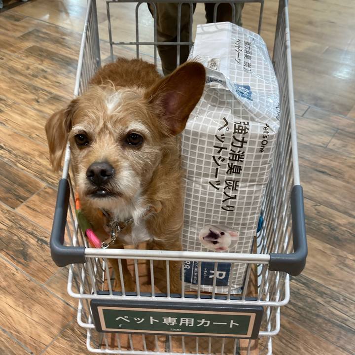 08ea1262 7d88 454b 9b34 6e93c1166ef8 1666178875177