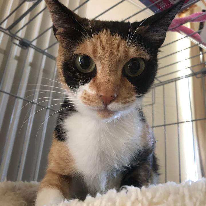 08ea1df2 11fa 4ba5 9de6 2419308c5cd3 1557017002876