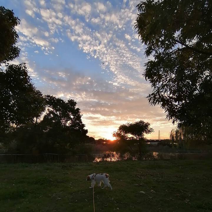 08ea41ac 17d1 4d34 bc06 5285a72cc581 1604664827612