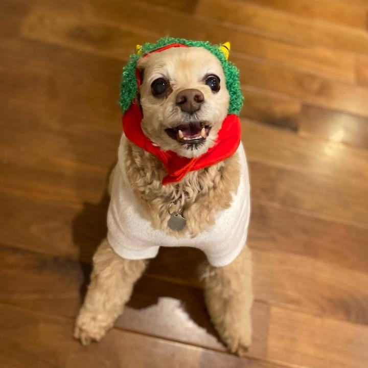 08ea9109 bdb2 432d b4a3 71bf953c5be5 1675419929521