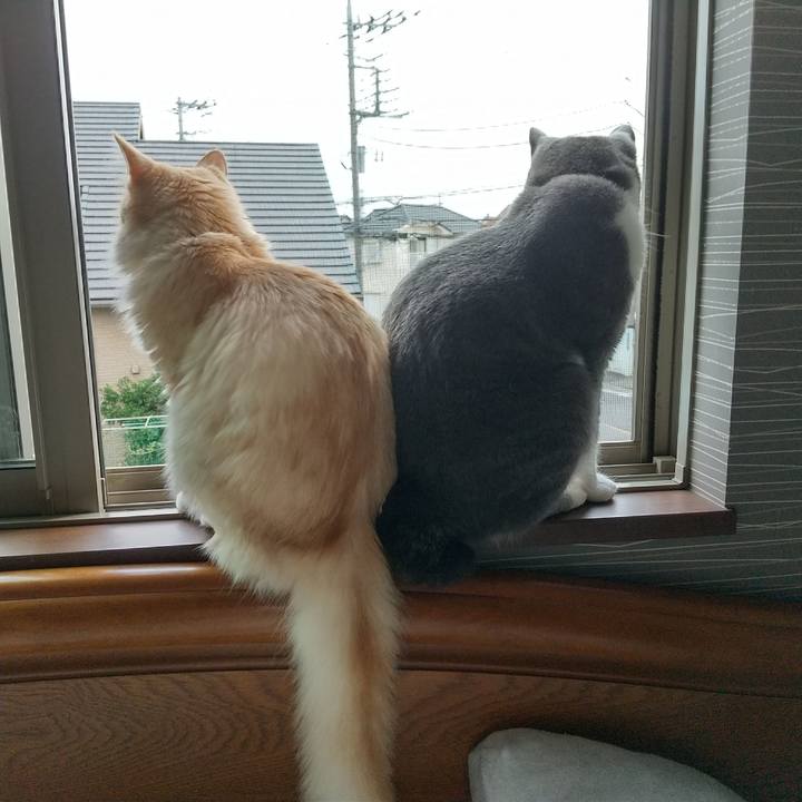 08eb0cd7 09ab 4e0a 804d 7b8cb5e46fd8 1623454738687