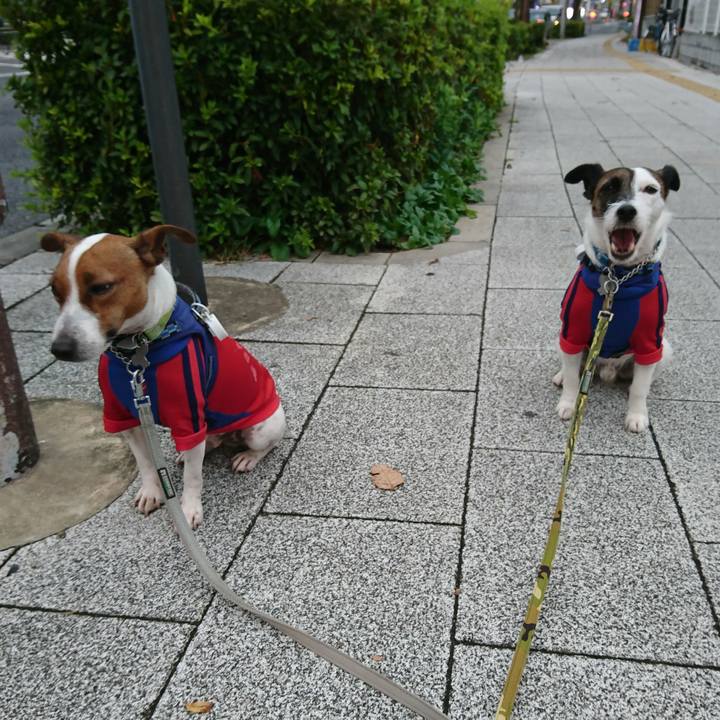 08eb2724 cf4b 41dc 8913 acd5cb36d63d 1574819762801