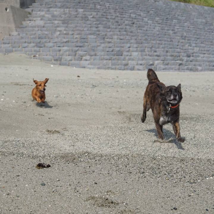 08eb4d67 0817 45c2 a1cb fbcd5d0384d3 1529849019494