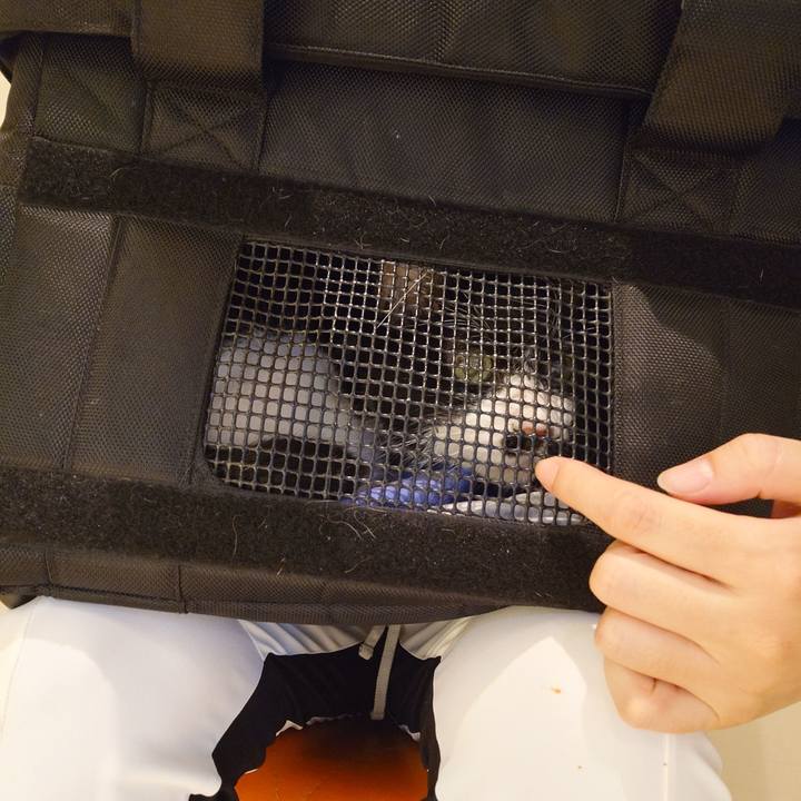 08eb4dc6 772f 4db3 9e76 1cc7df8b5357 1758441295167