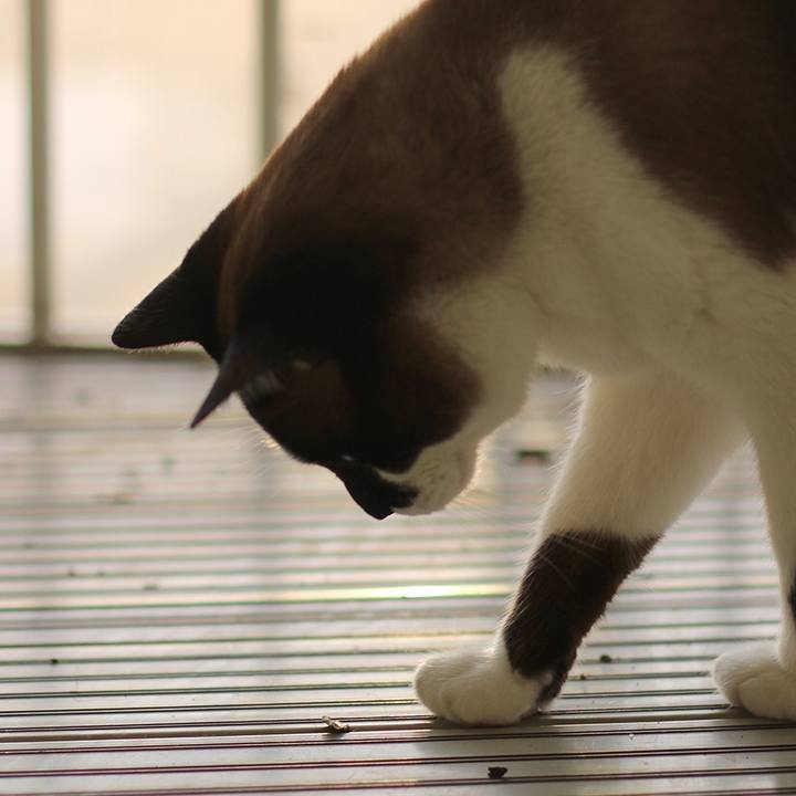 08eb60c1 975e 4408 9444 2af31901984d 1511769079007