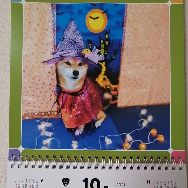 08ebbcf1 81ef 4f73 b6fc 630f884a71f3 1633044582915