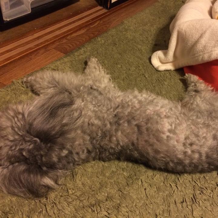 08ebfc75 4f37 4ffc 931d b24e8595990f 1519946031898