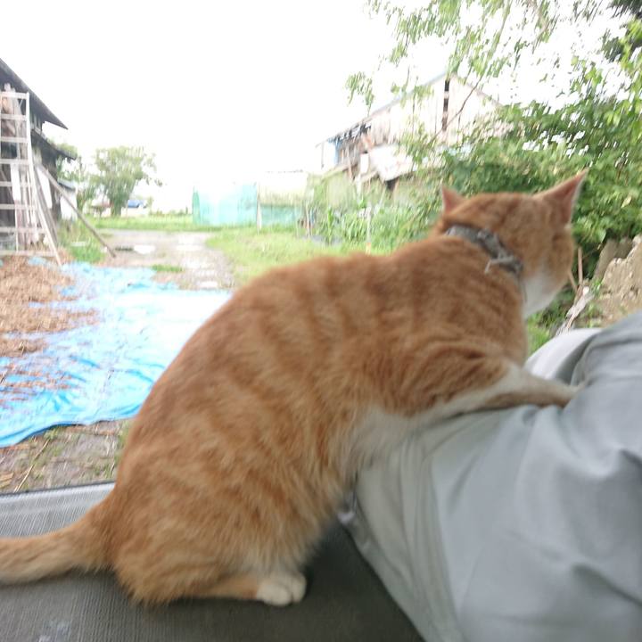 08ec3d67 9c6e 4ec2 950e 1e1ac47cffc3 1594201012477